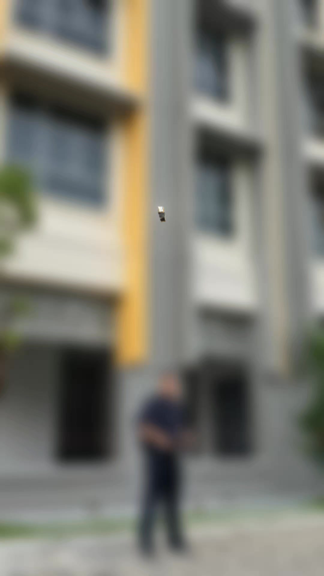 Chua Geomancy Consultancy