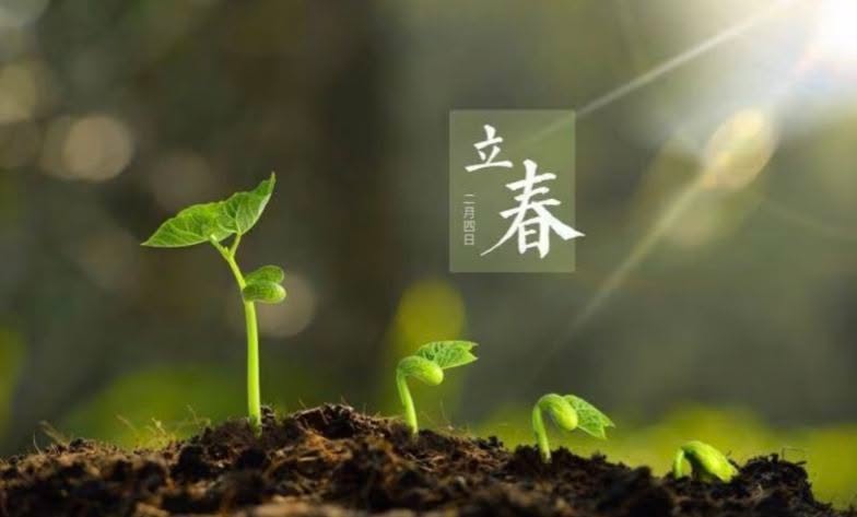 Chua Geomancy Consultancy