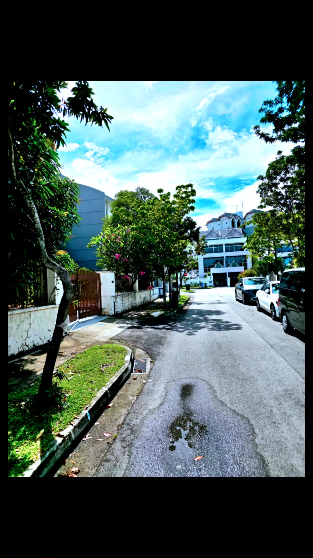 Chua Geomancy Consultancy